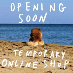 Cristaseya, Instagram, Opening Soon, picture of a dog on a beach, view from the back, photo by Andrea Spotorno.