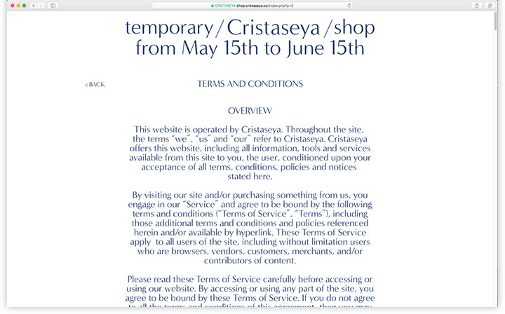Cristaseya, eshop design, screen, terms and conditions page