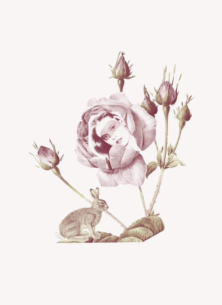 Annalisa Pagetti's collage for Aplus Organic collection, illustrating a woman's head in a rose, and a rubbit